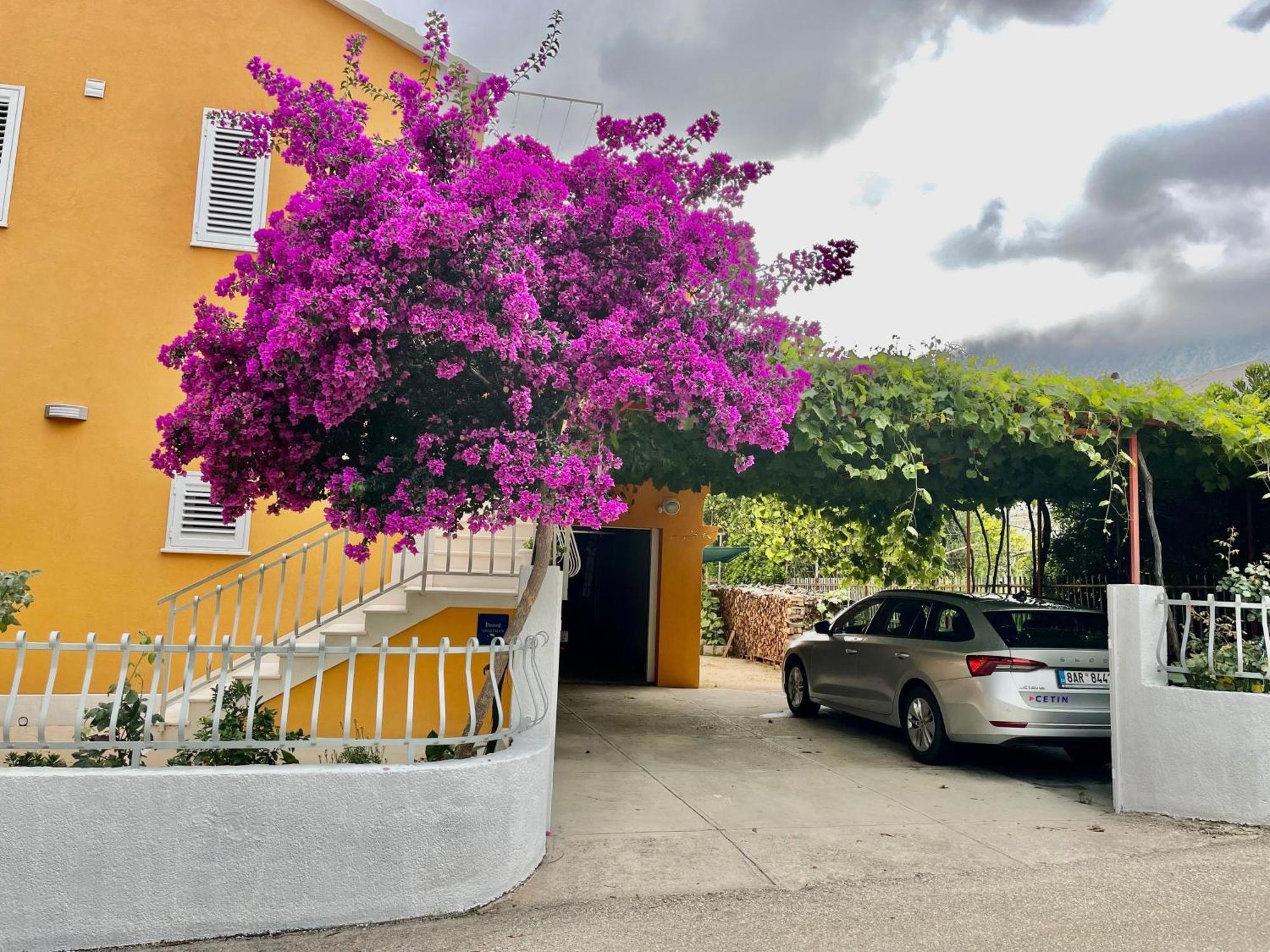 Apartments With A Parking Space Orebic, Peljesac - 4527 ภายนอก รูปภาพ